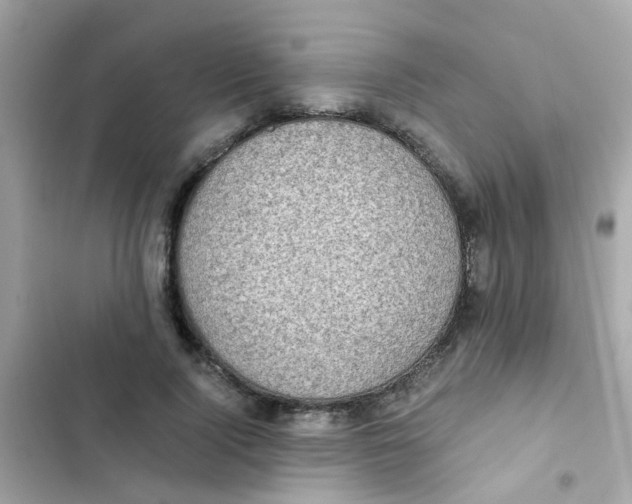 X0000103160740200809192053