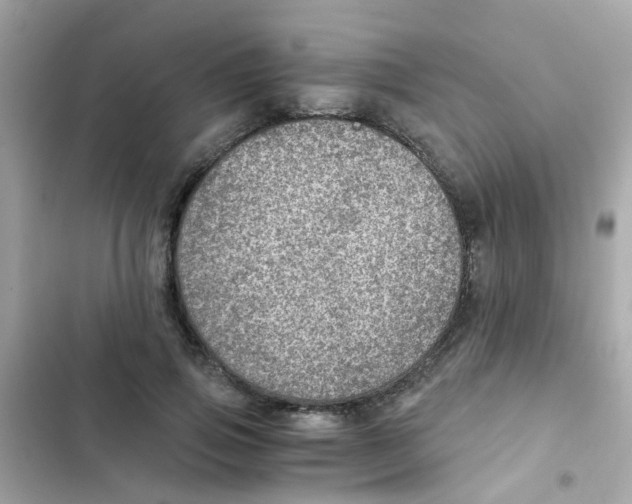 X0000103160741200809192053