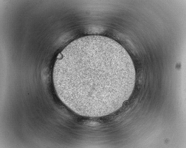 X0000103160743200809192053