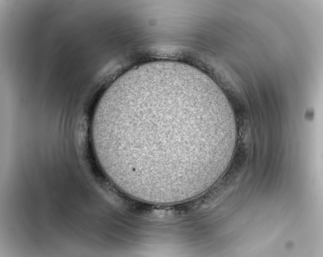X0000103160744200809192053