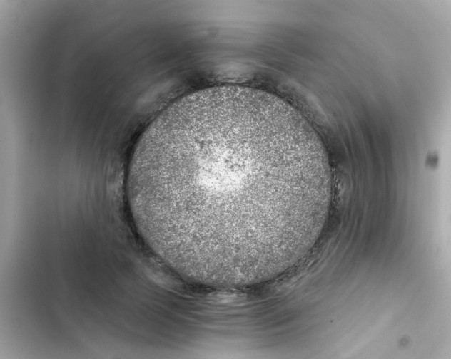X0000103160745200809192053