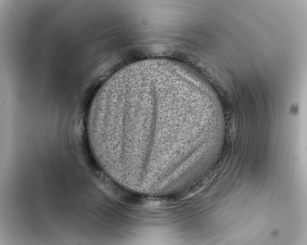 X0000103160746200809192053