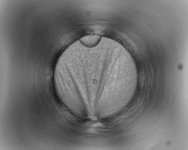 X0000103160747200809192053