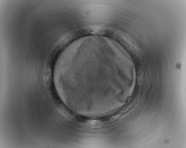 X0000103160748200809192053