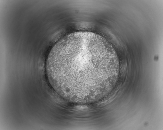 X0000103160749200809192053