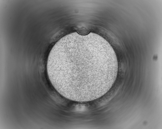X0000103160751200809192053