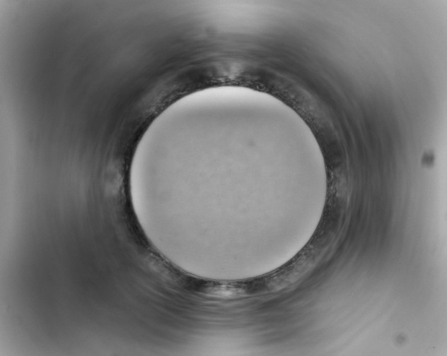 X0000103160754200809192053