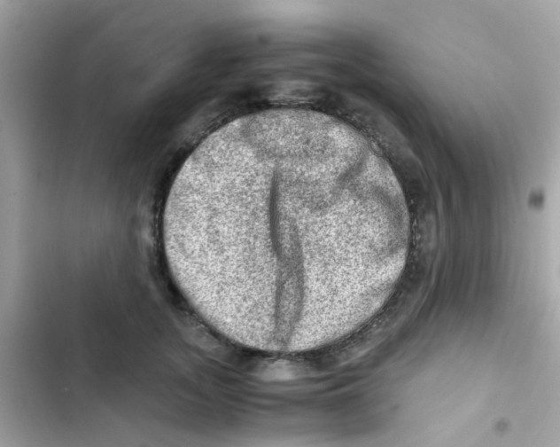 X0000103160755200809192053