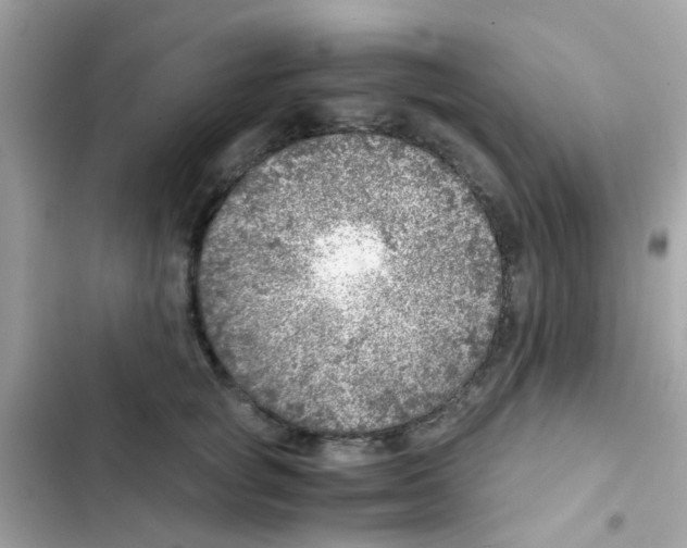 X0000103160757200809192053