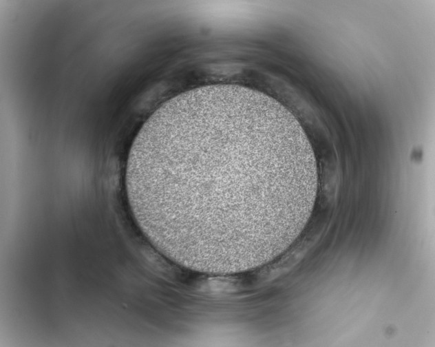 X0000103160758200809192053