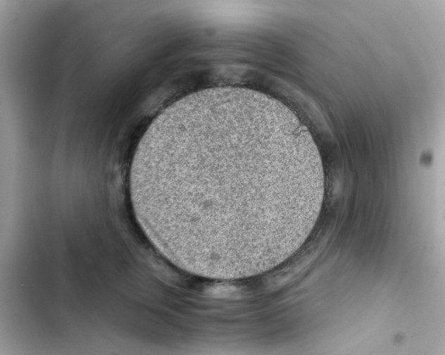 X0000103160759200809192053