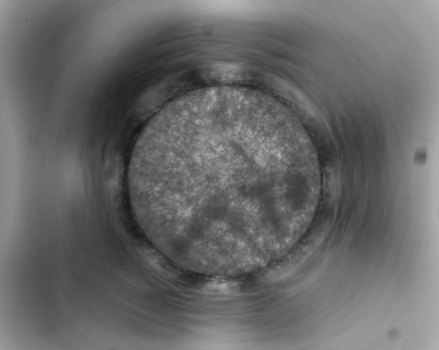 X0000103160760200809192053