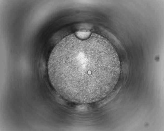 X0000103160761200809192053