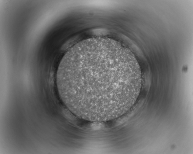 X0000103160762200809192053
