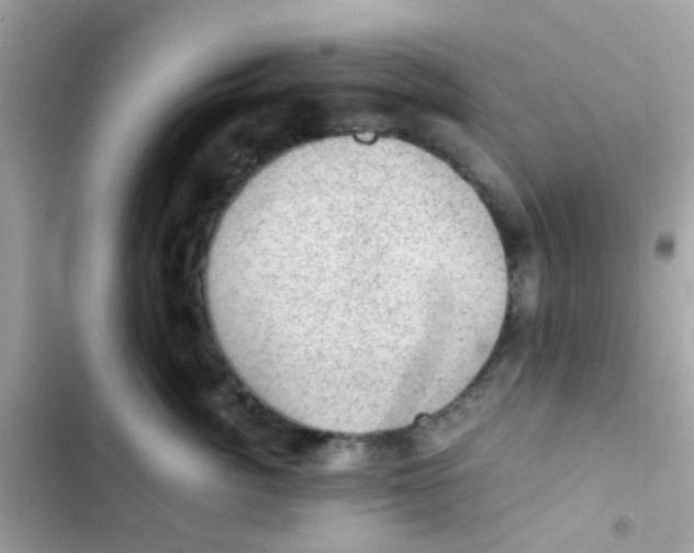 X0000103160764200809192053