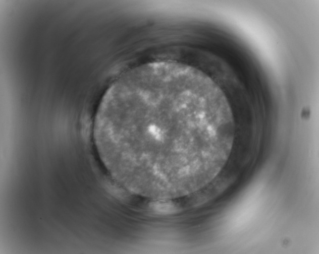 X0000103160767200809192053