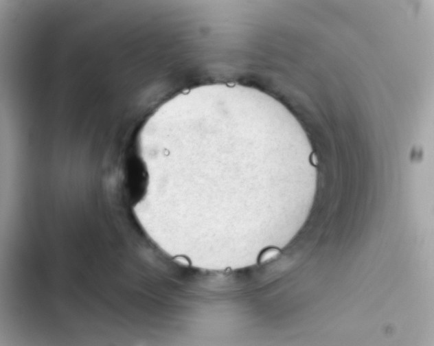 X0000103160768200809192053