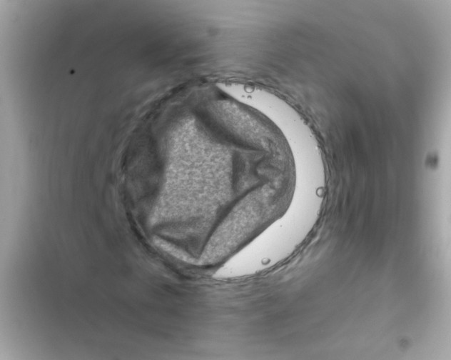 X0000103160769200809192052