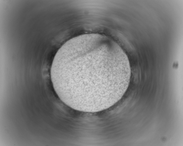 X0000103160770200809192052