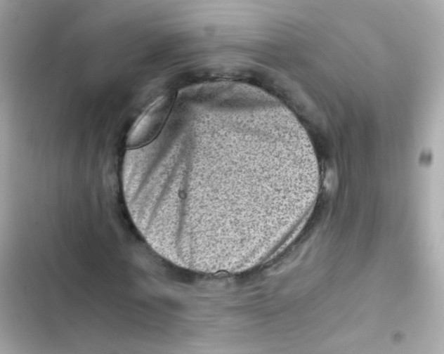 X0000103160771200809192052