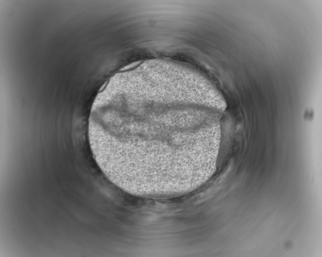 X0000103160772200809192052