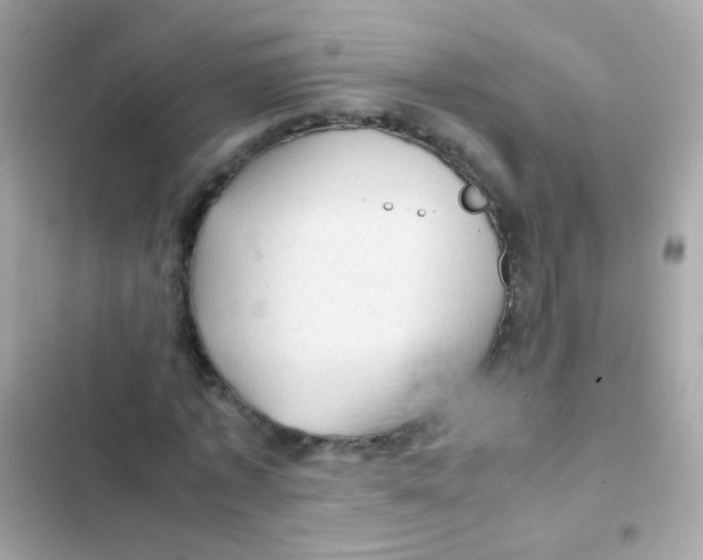 X0000103160773200809192052