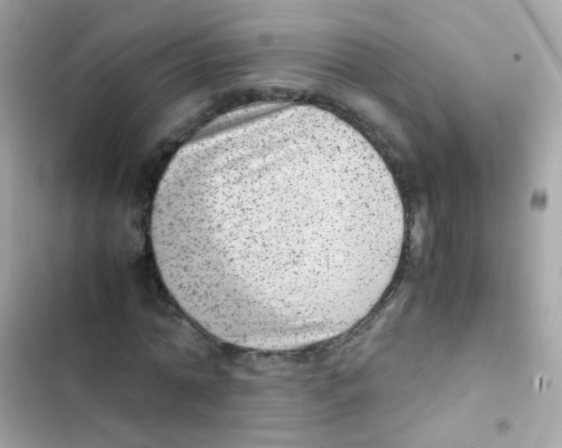 X0000103160774200809192052