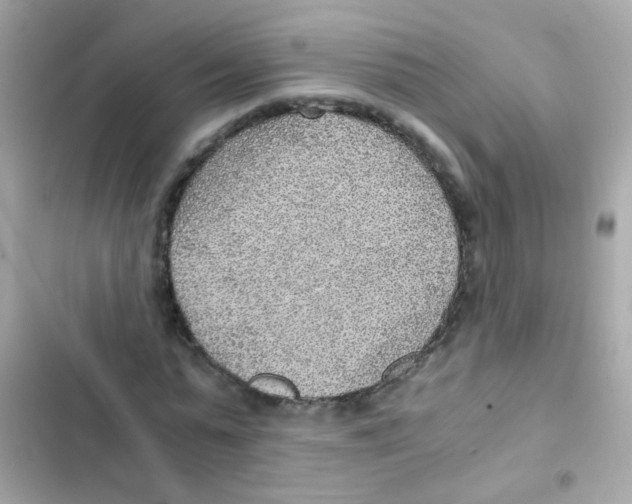 X0000103160775200809192052