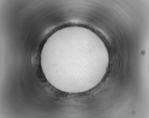 X0000103160776200809192052