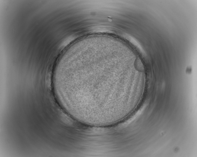 X0000103160777200809192052