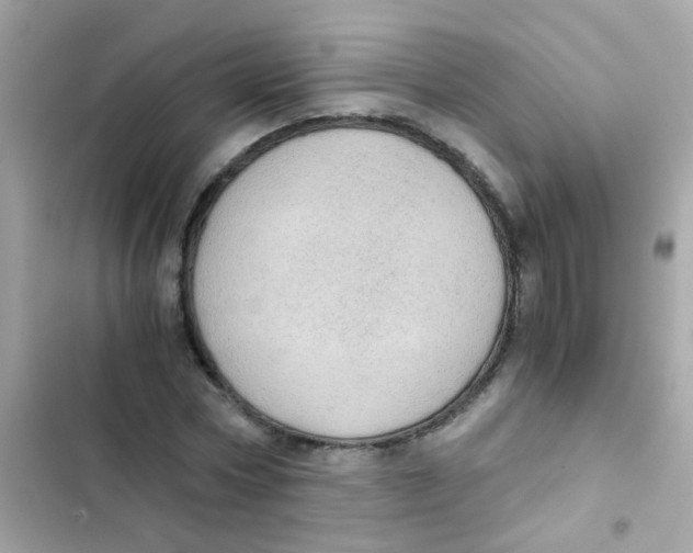 X0000103160778200809192052