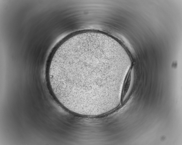 X0000103160780200809192052