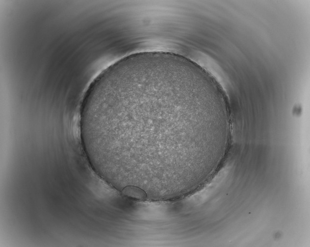 X0000103160781200809192052
