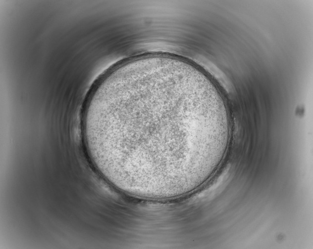 X0000103160782200809192052