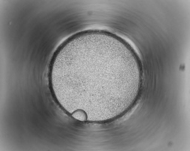 X0000103160783200809192052