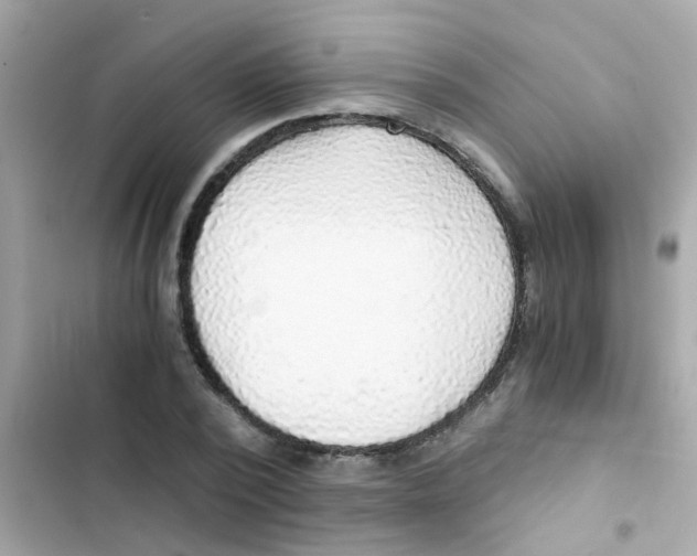X0000103160784200809192052