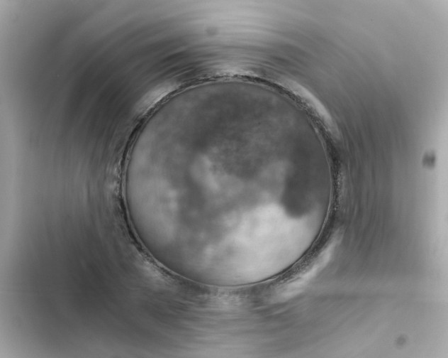 X0000103160785200809192052