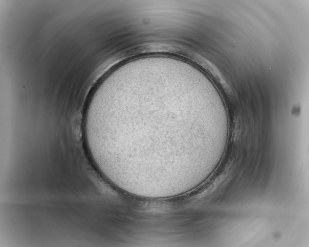 X0000103160786200809192052