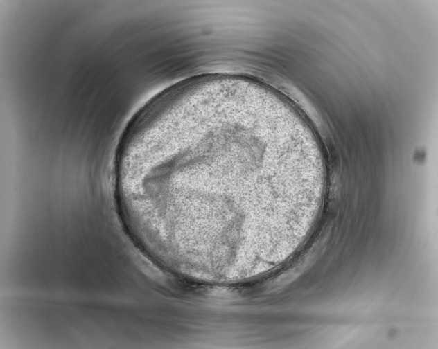 X0000103160787200809192052