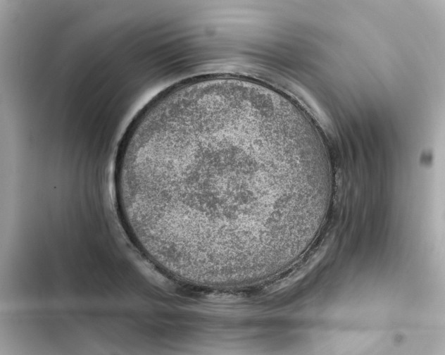 X0000103160788200809192052
