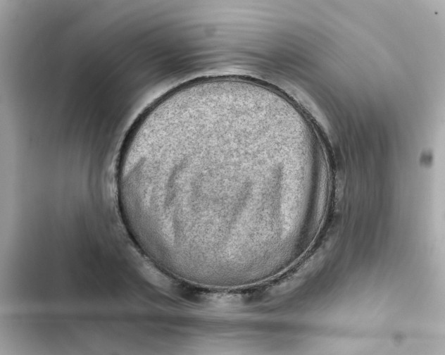 X0000103160789200809192052