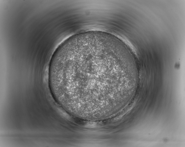 X0000103160790200809192052