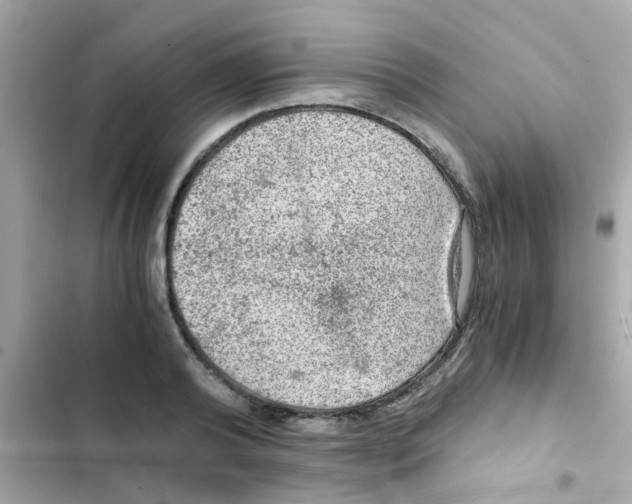 X0000103160792200809192052