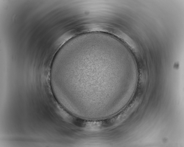 X0000103160793200809192052