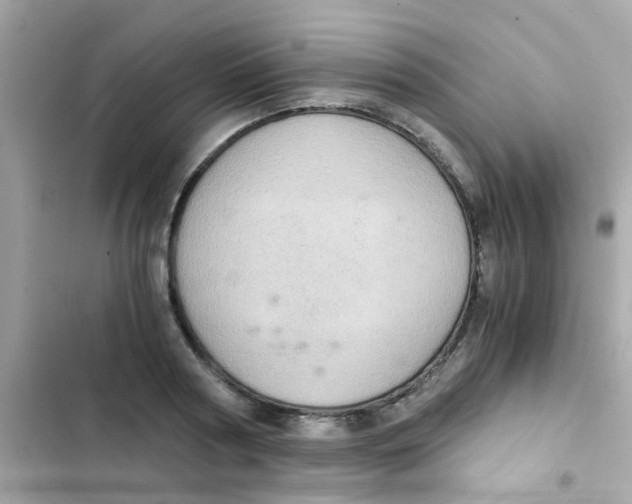 X0000103160794200809192052