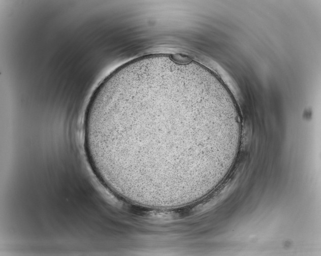 X0000103160795200809192052