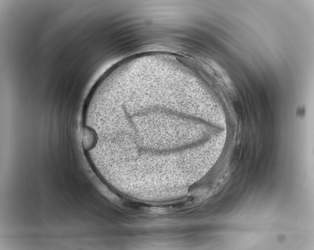 X0000103160796200809192052