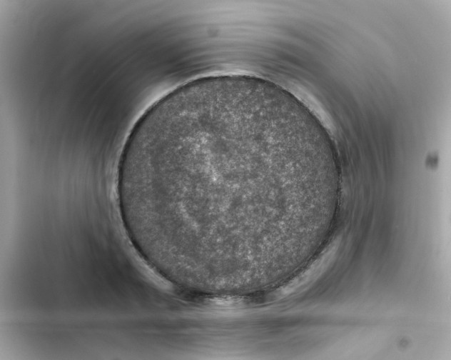 X0000103160797200809192052