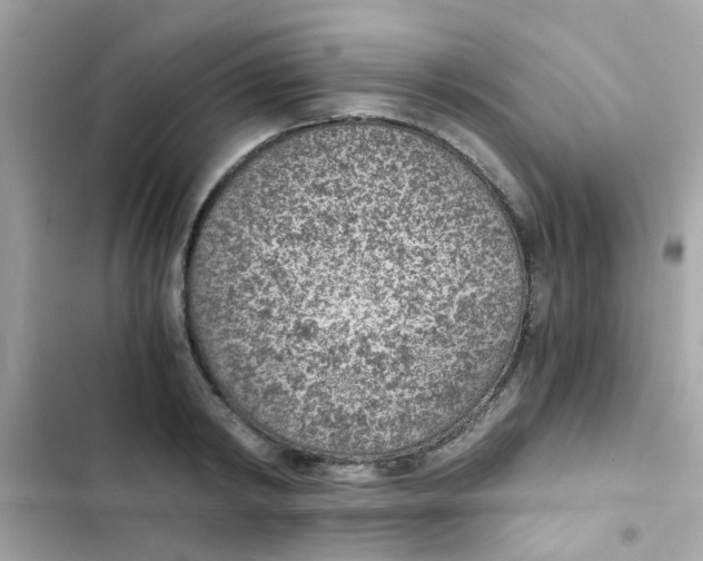 X0000103160798200809192052