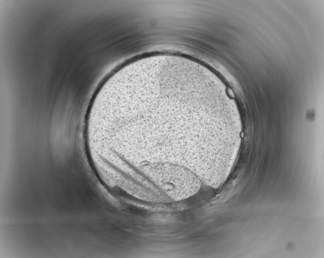 X0000103160799200809192052